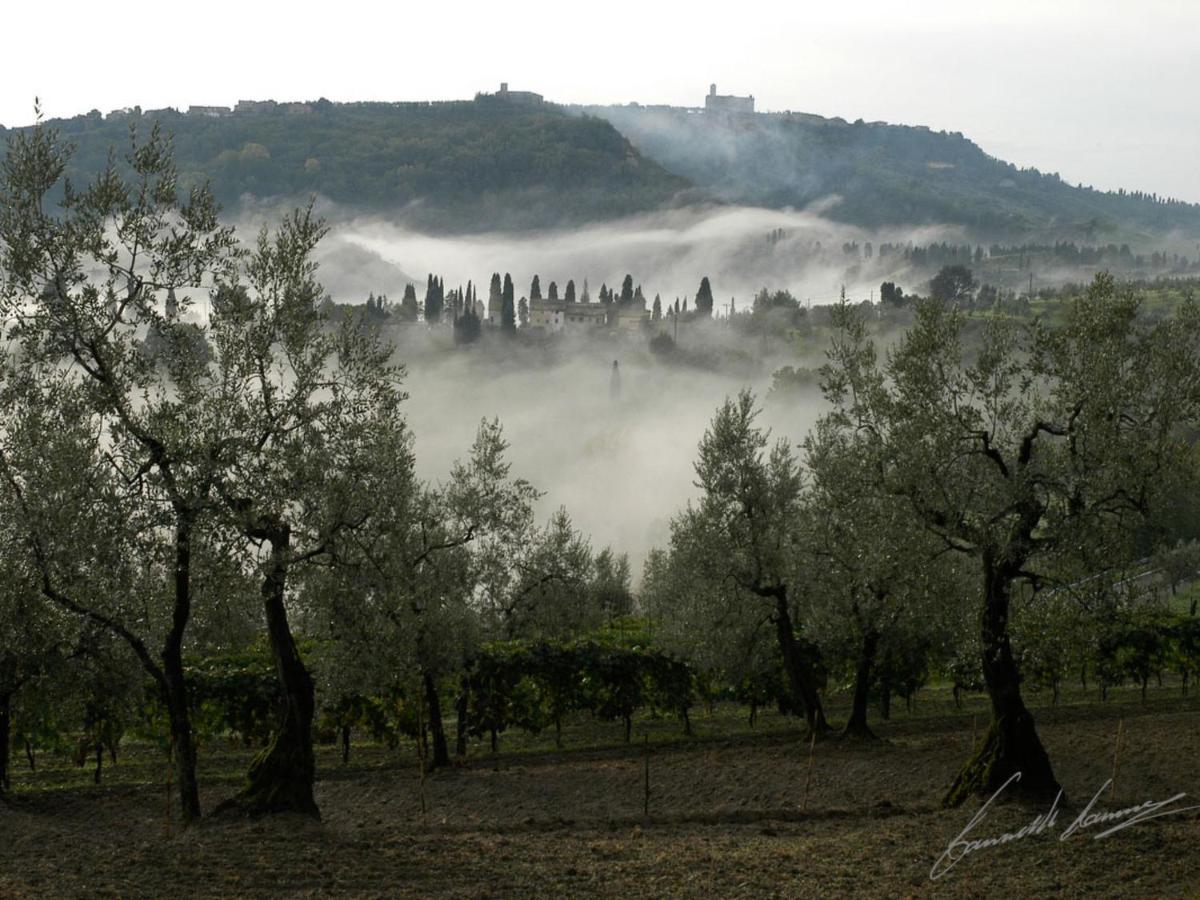 Holiday Home La Voce Del Silenzio By Interhome 볼테라 외부 사진